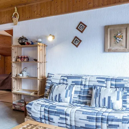 Apartment A 250m Des Pistes, Grand 3 Pieces Avec Balcon, Animaux Admis, Parking - Fr-1-304-163 La Clusaz